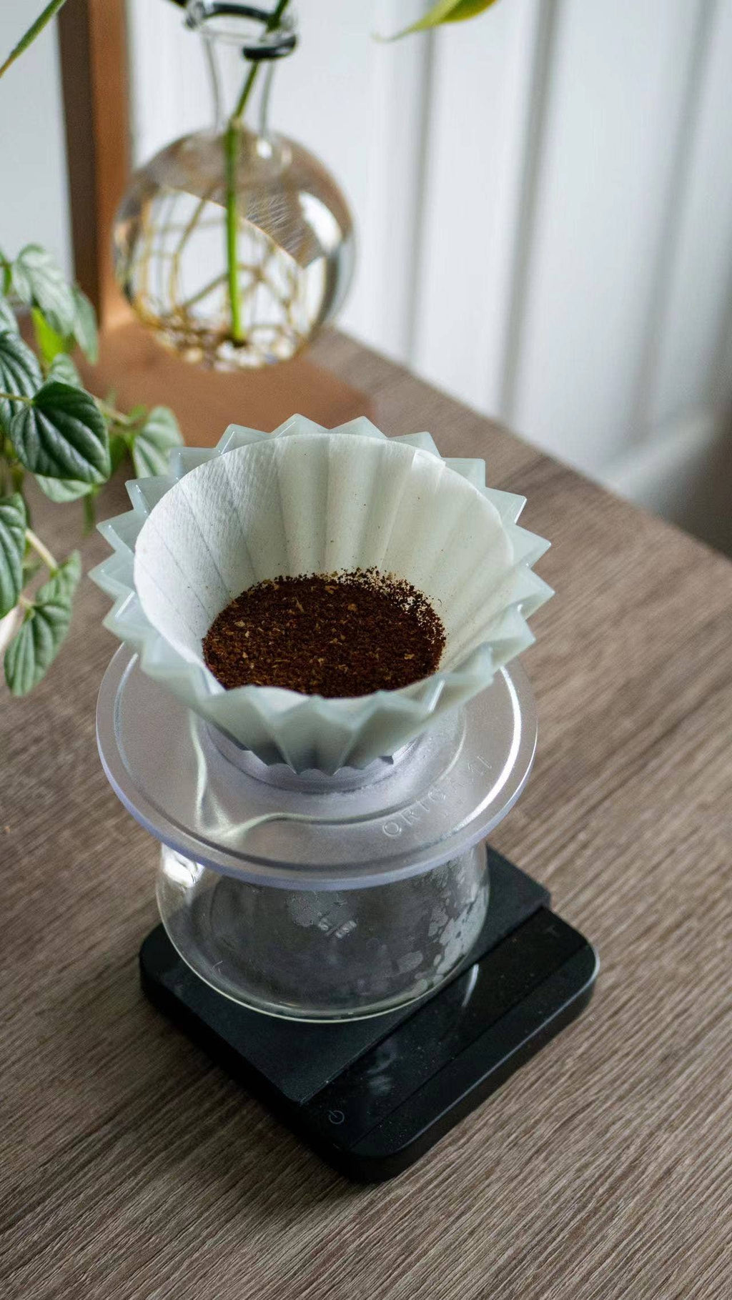 ORIGAMI - Original Cone and Wave Paper Filter Set